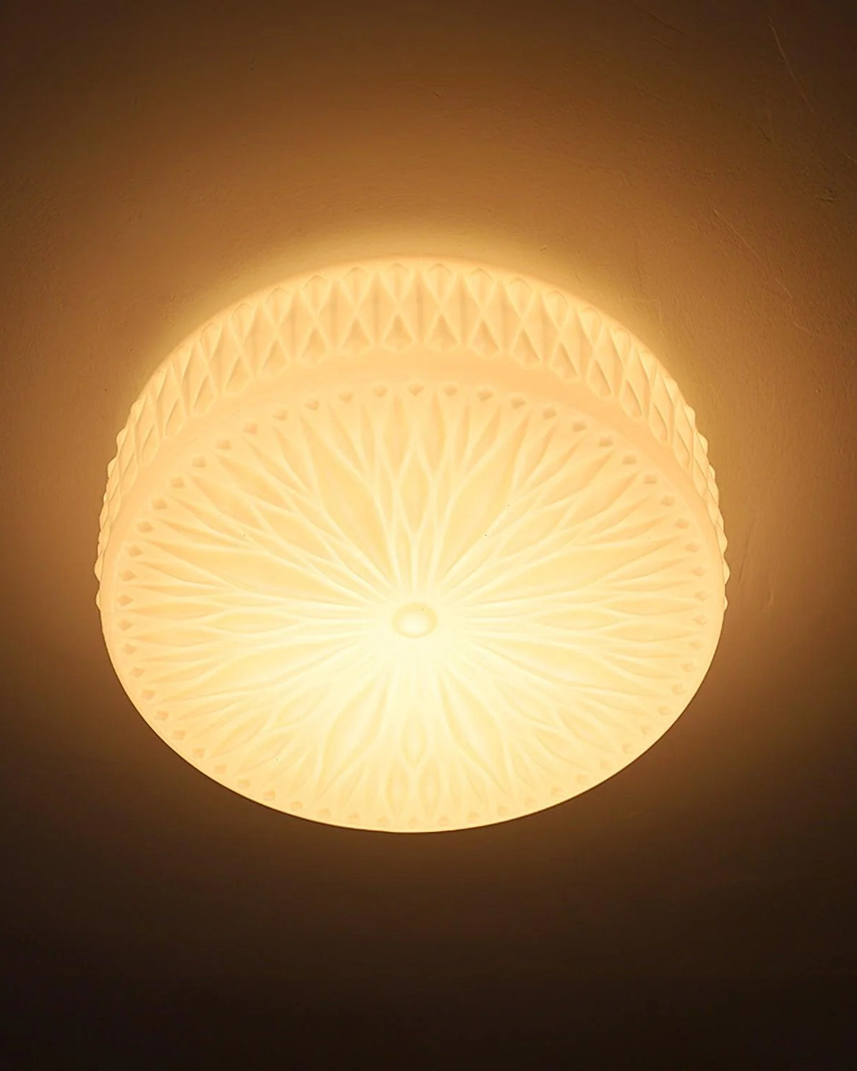 Adler Ceiling Light