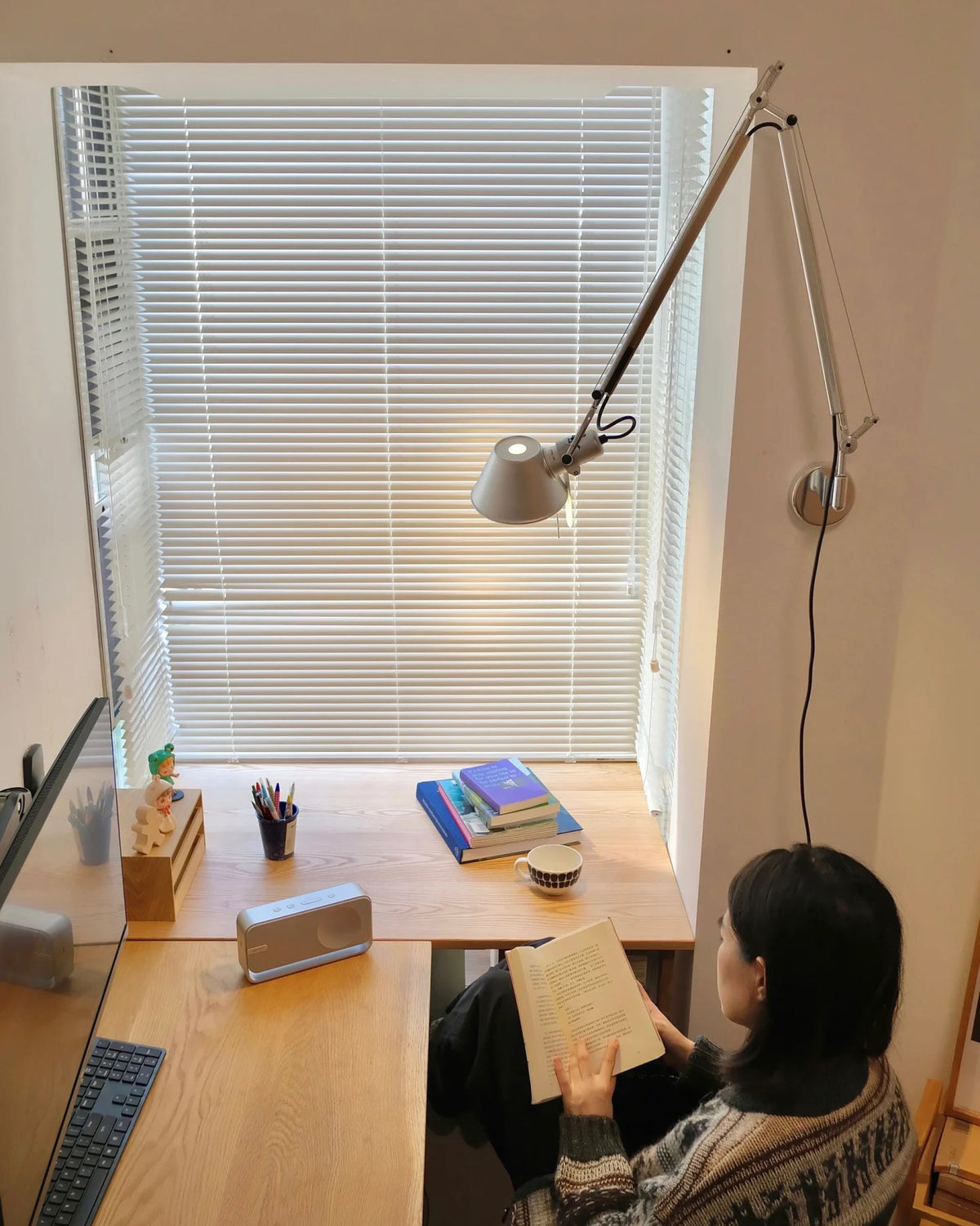 Mercury Swing Arm Lamp