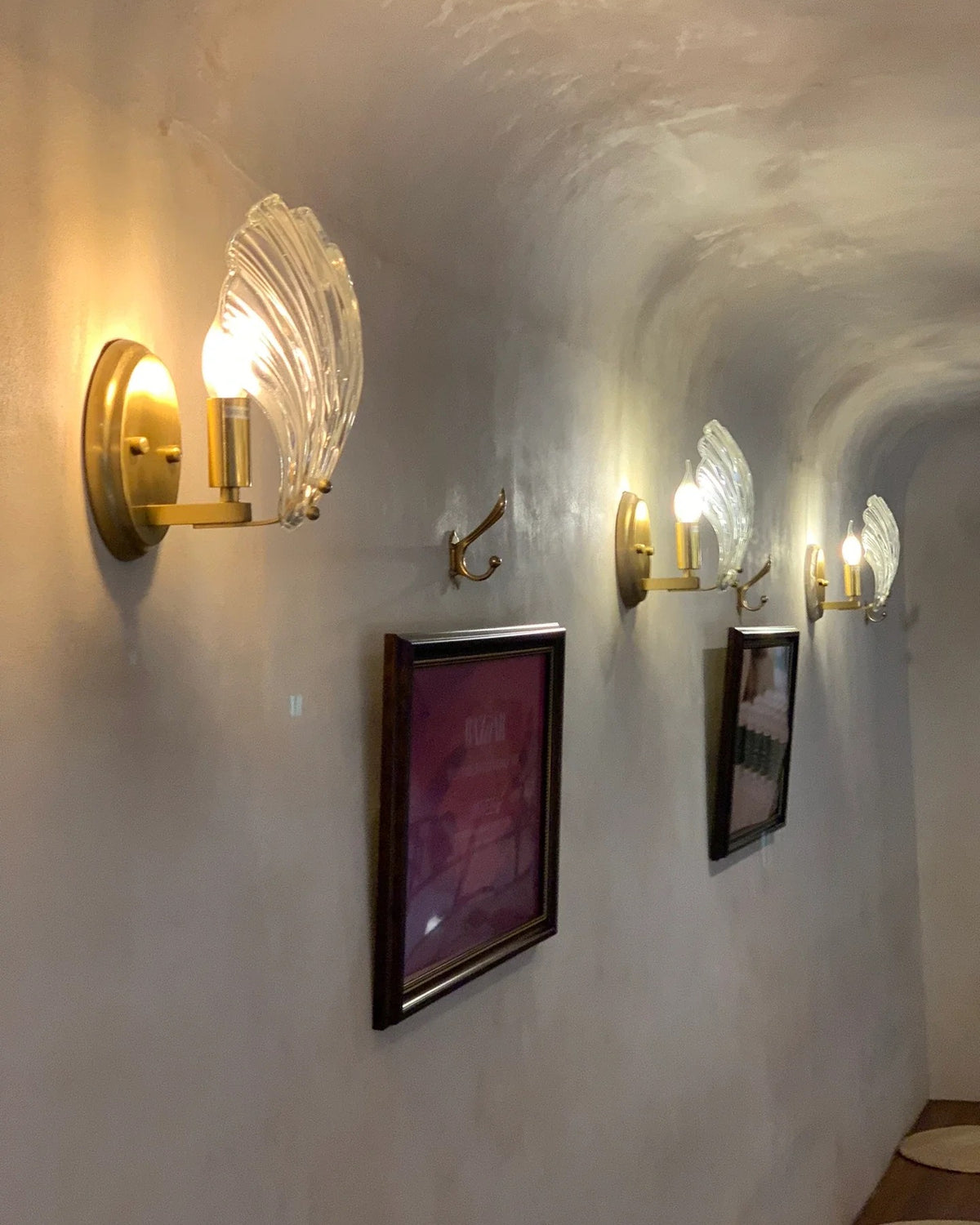 Shell Wall Light