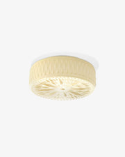 Adler Ceiling Light