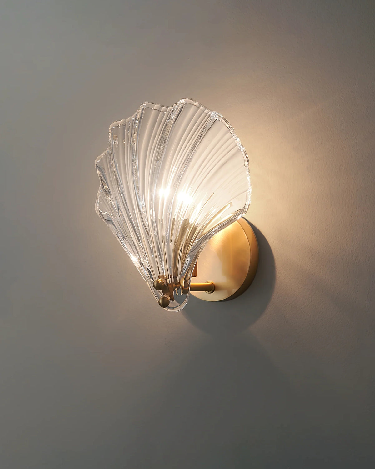 Shell Wall Light